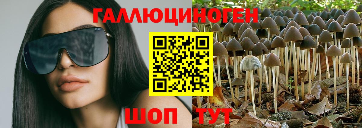Галлюциногенные грибы Cubensis Рыбинск